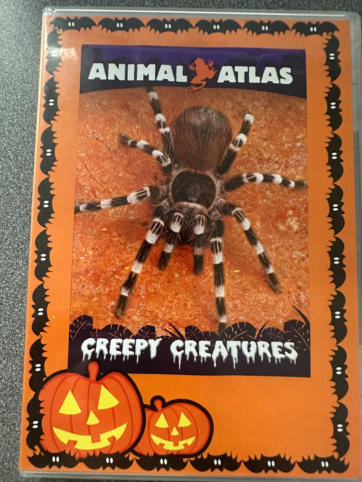 Animal Atlas Creepy Adventures DVD   (001)