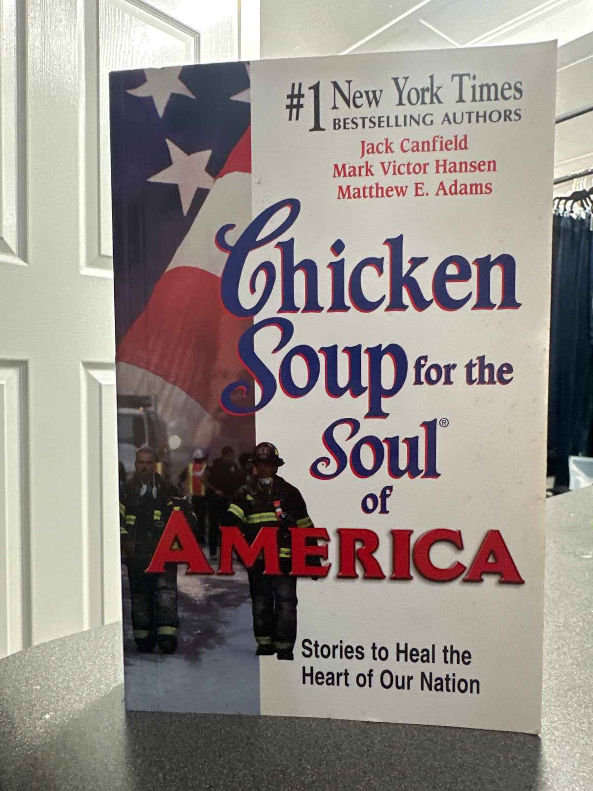 Chicken Soup for the Soul of America Book  (011)