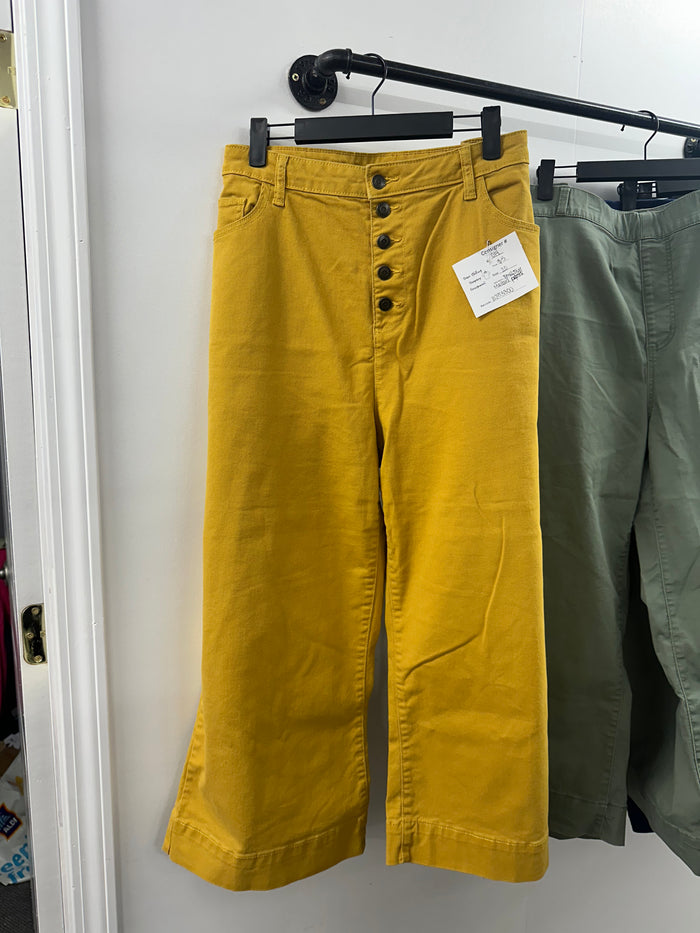 Time&True Mustard Pants       Size 20         (014)